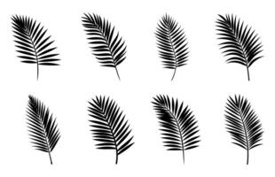 Beautiful Palm Tree Leaf Silhouettes Set vector