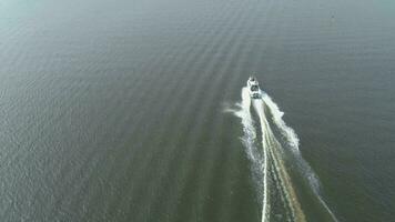 lujo velocidad motor barco va en el Golfo a soleado día. aéreo vista. revelar disparo. zumbido es volador adelante y siguiendo barco video