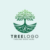 árbol icono logo diseño, naturaleza arboles vector ilustración logo diseño.