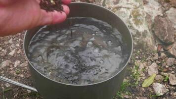 Man is cooking tea on touristic pot with boiling water. video