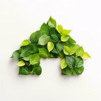 ai generative shaped icon made of green leaves isolated on transparent background photo