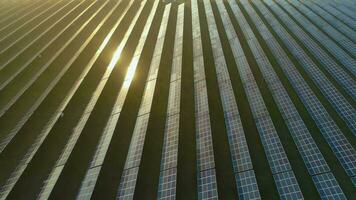 Large field of blue photovoltaic solar panels at sunset. Sunlight reflection. Aerial view. Flying sideways to the right. Establishing shot. video