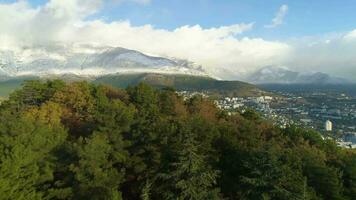 Flying forward over conifer trees towards the city. Snow-capped mountains on background. Aerial view. Establishing reveal shot. video