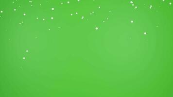 isolé chute neige sur vert écran video