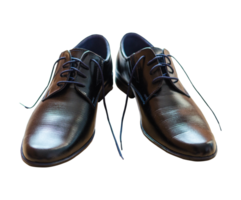 Modern shoe PNG File