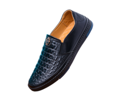 Modern shoe PNG File