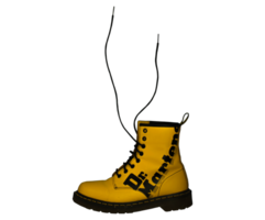 Modern shoe PNG File