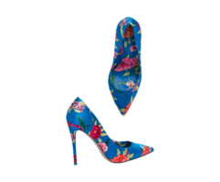 Modern shoe PNG File