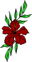 graphique dessin de rouge hibiscus fleur sans pour autant arrière-plan, isolé élément, décor png