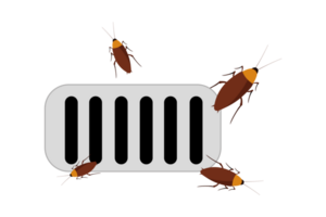 drain. wallpaper. free space for text. copy space. cockroach. png