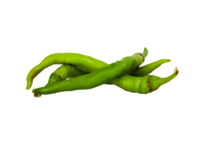 Chili Pfeffer png transparent Hintergrund