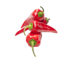 Pimenta Pimenta png transparente fundo