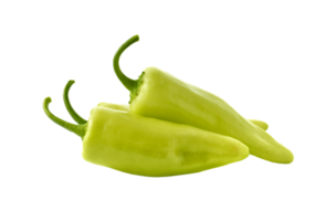 chilli pepper png transparent background