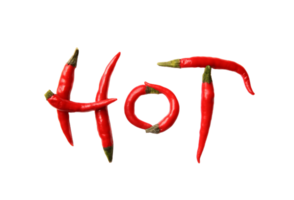 Chili Pfeffer png transparent Hintergrund