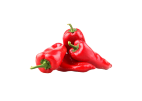 chili peper PNG transparant achtergrond