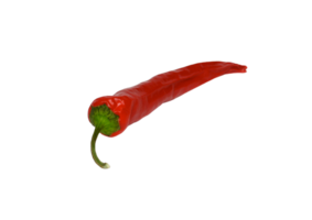 Chili poivre png transparent Contexte