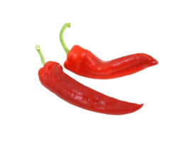 Chili Pfeffer png transparent Hintergrund