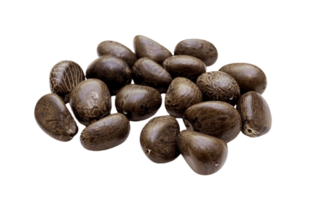 Black Beans png transparent background