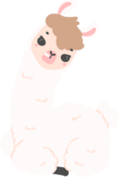 Cute Llama cartoon illustration png