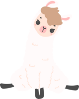 Cute baby Llama sitting png