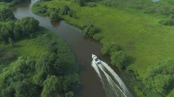 luxo Rapidez motor barco é corrida dentro a golfo canal às ensolarado dia. aéreo Visão video