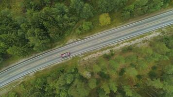 grigio auto è su dritto strada nel verde foresta nel Norvegia nel estate giorno. aereo verticale dall'alto al basso Visualizza. fuco è volante lateralmente video