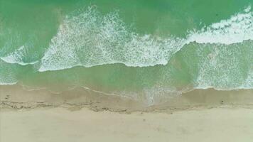 mer avec roulant vagues et sablonneux plage. aérien verticale de haut en bas vue video