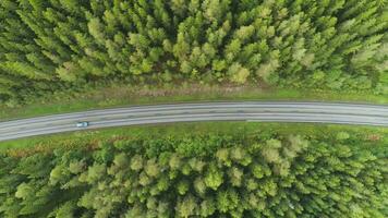 auto is gaan Aan land weg in groen naaldboom Woud in Noorwegen in zomer dag. antenne verticaal ondersteboven visie. dar is vliegend zijwaarts video