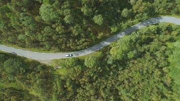 coche es yendo en país la carretera en verde bosque en Noruega en verano día. aéreo vertical De arriba hacia abajo vista. zumbido es volador oblicuo video