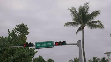 Oceano conducir la carretera firmar y tráfico ligero en Miami playa. EE.UU. amplio Disparo video