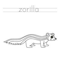 Trace the letters and color cartoon zorilla. Handwriting practice for kids. vector