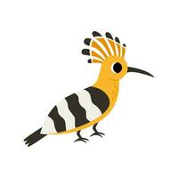 Vector illustration of cute hoopoe bird isolated on white background.