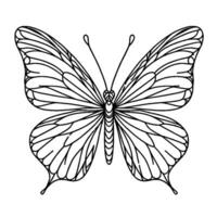 Butterfly coloring book vector