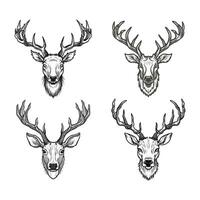 Deer Head collection vector