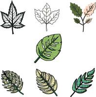 Set of leaf vector illustration