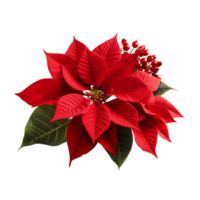 rouge poinsettia fleurs ai génératif png