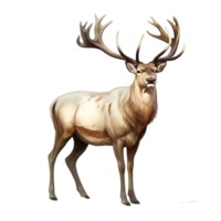 Reindeer Santa Claus Christmas Ai Generative png