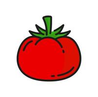 tomate Fruta con vástago crudo rojo verduras línea icono vector