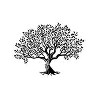 aceituna árbol aislado silueta icono o firmar vector
