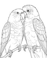 sun conure coloring page for adults vector