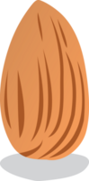 Almond nuts PNG