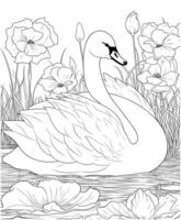 cisne flor colorante página para adultos vector