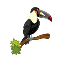 schattig vogel PNG afbeelding, kunst illustratie beeld