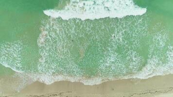 océan avec vagues et sablonneux plage. aérien verticale de haut en bas vue video