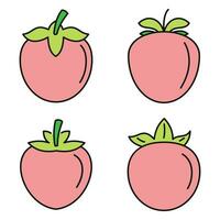 Persimmon fruit icon set vector color