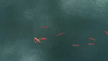 grupo de kayaks en turquesa agua de el geiranger fiordo. Noruega. aéreo vertical De arriba hacia abajo vista. zumbido es volador hacia arriba video