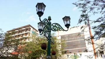 Elegant street lighting lamp in the park photo