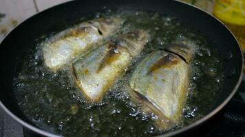 Close up of fish fried on a frying pan photo