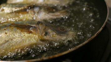 Close up of fish fried on a frying pan photo