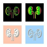 Kidney Vector Icon